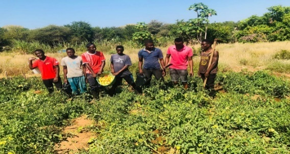 Cooperativa Agrícola Jovens Visionários