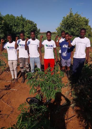 Cooperativa Agrícola Jovens Visionários