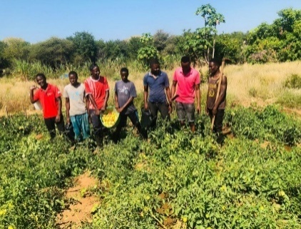 Cooperativa Agrícola Jovens Visionários