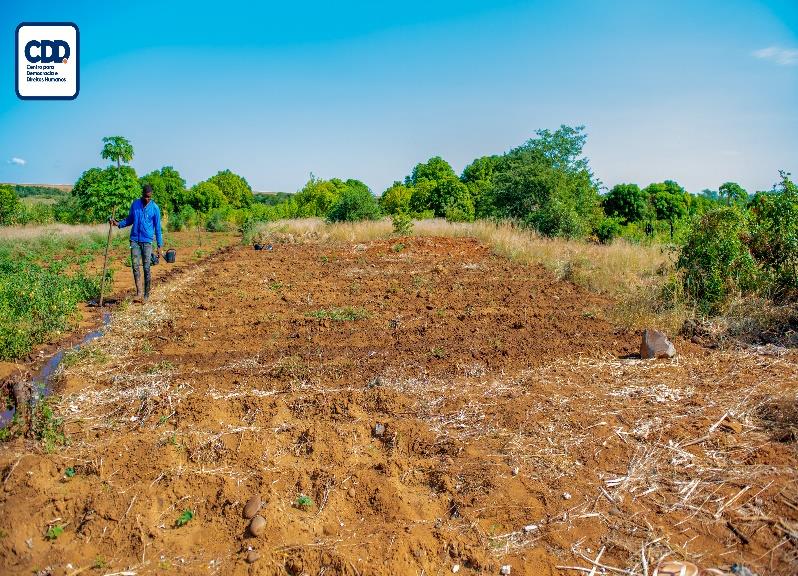 Cooperativa Agrícola Jovens Visionários