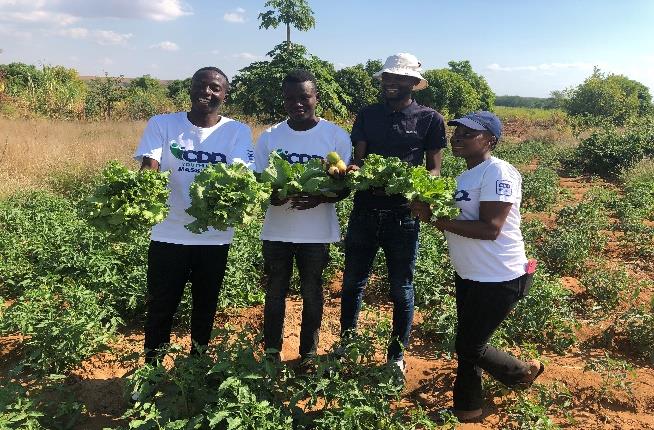 Cooperativa Agrícola Jovens Visionários